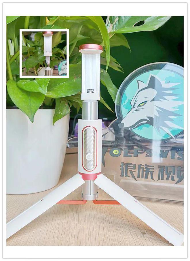 袋的自拍杆带去哪儿旅游都超方便！尊龙凯时人生就是搏平台能放进口(图5)