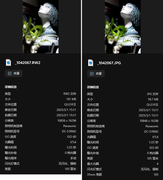 RM2：一台集高画质、高性能的全能型相机z6尊龙网站评测 松下LUMIX S1(图4)